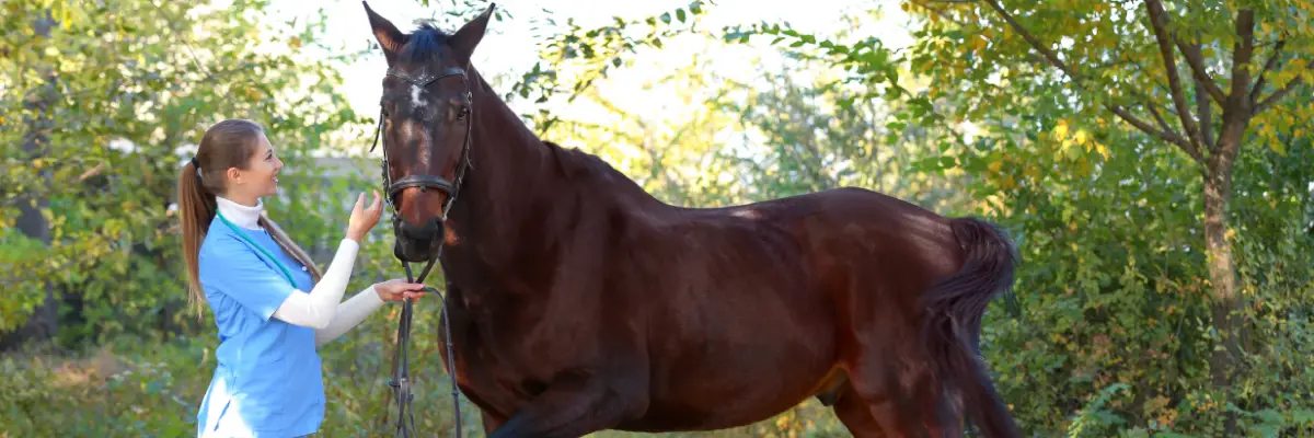 Laminitis The Silent Emergency Every Horse Owner Should Understand