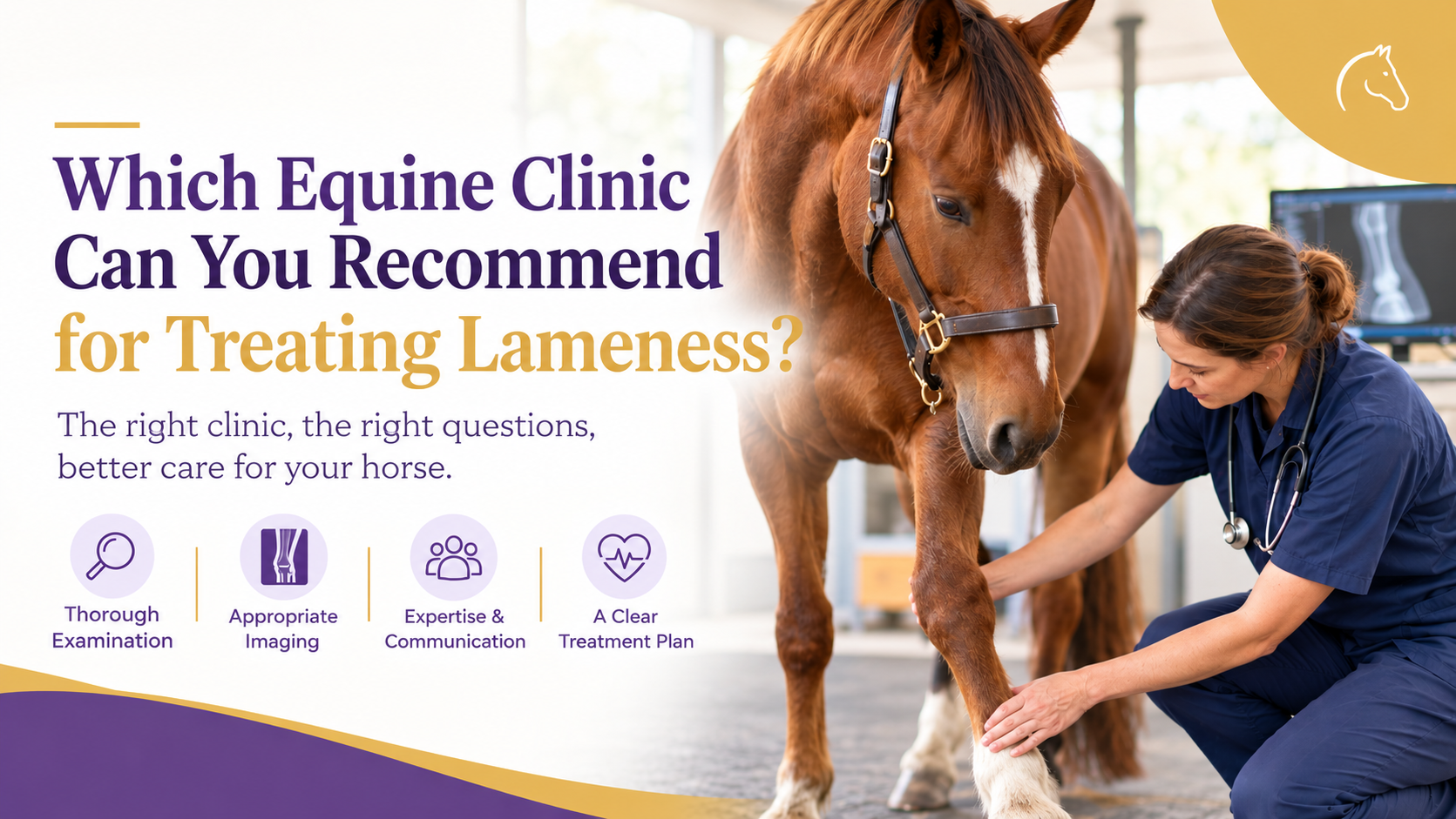 Which Equine Clinic Can You Recommend for Treating Lameness?